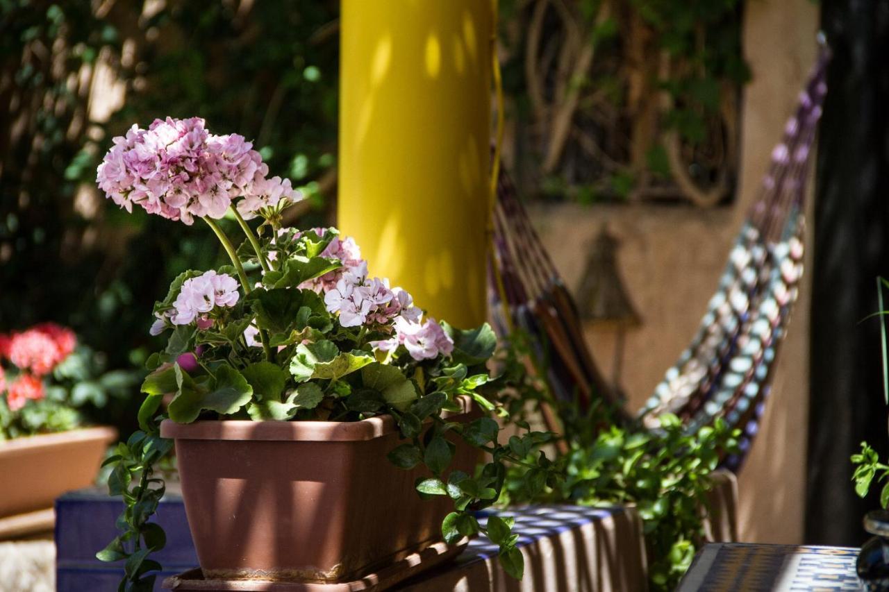 Riad Tama & Spa Ouarzazate Extérieur photo